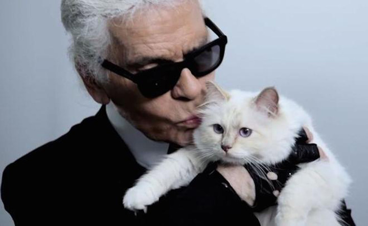 Karl Lagerfeld’s Cat Probably Makes More Than You